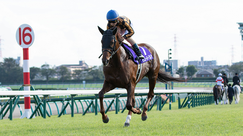 【シルクロードS】8歳でもなお健在　SPAIA編集部が注目する中京巧者の大穴とは？【動画あり】