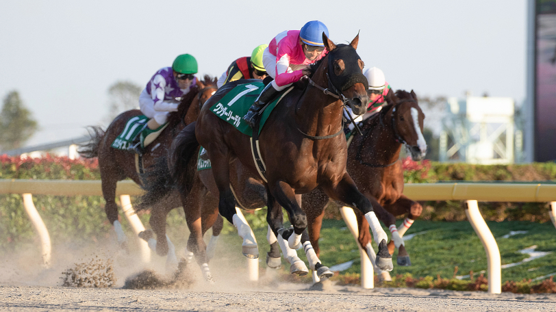 【シルクロードS・根岸S】両重賞とも後方一気が決まる？東大・京大の見解は【動画あり】