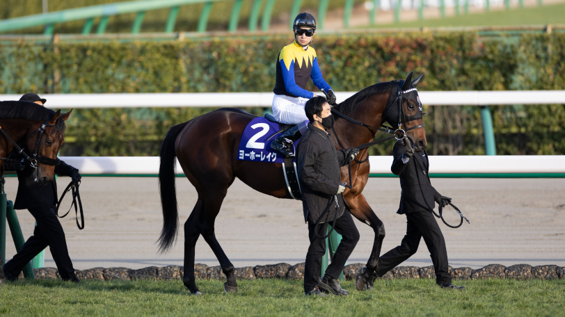 【日曜3分レース予想】複勝率75.9％を誇るデータとは？　SPAIA編集部の日曜オススメ馬【動画あり】