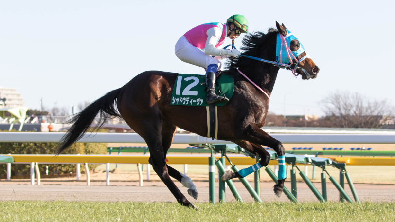 【東京新聞杯】東京巧者の紅一点　シャドウディーヴァを推すデータが満載【動画あり】