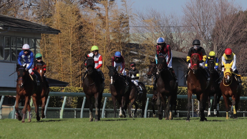 【きさらぎ賞・東京新聞杯】末脚勝負なら上位争い　東大が推す重賞初挑戦の馬は【動画あり】