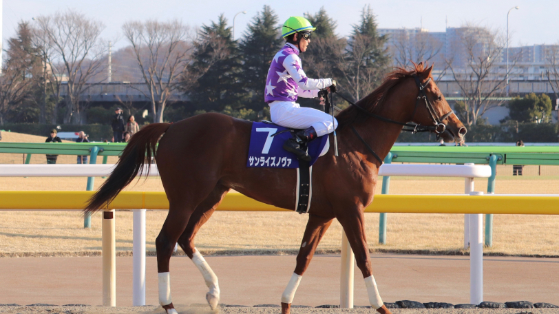 【フェブラリーS】いよいよGⅠ開幕！　カフェファラオ内枠なら絶体絶命？【動画あり】