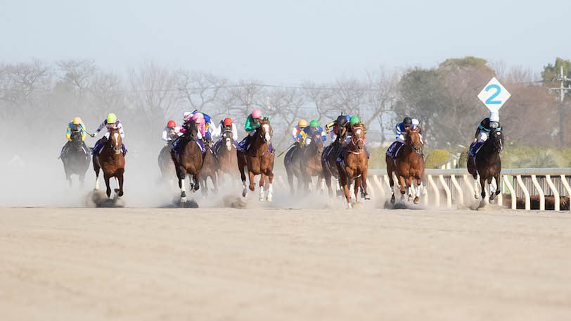 【日曜3分レース予想】2月の府中に雷鳴とどろく　SPAIA編集部の日曜オススメは？【動画あり】