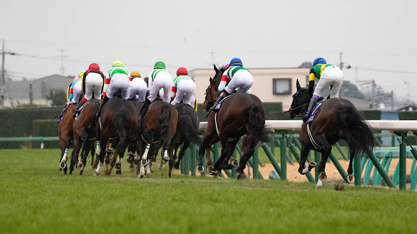 【京都牝馬S・ダイヤモンドS】混沌の牝馬重賞から抜け出すのは？名物マラソンレースを制するのは？【動画あり】