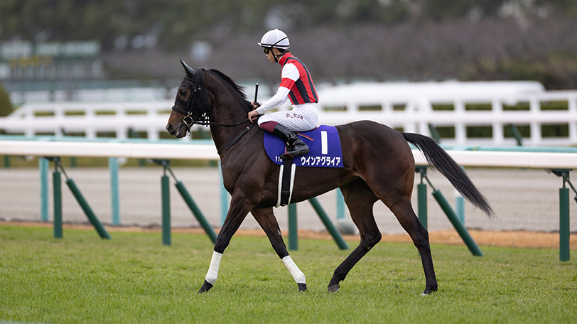 【フローラS・マイラーズC】「内枠を買うだけ」のレース？単複回収率230%超の1枠を引いた2頭に注目【動画あり】