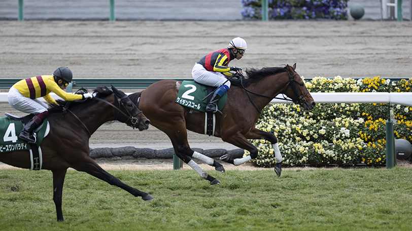 【フローラS・マイラーズC】1番人気は強くてもヒモ穴候補は多数　東大・京大の予想は？【動画あり】