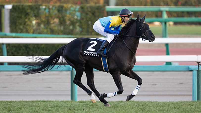 【七夕賞】先週以上の特大馬券も　「荒れる」福島の名物重賞で狙う穴馬とは？【動画あり】