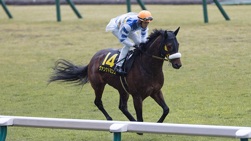 2021年七夕賞に出走するヴァンケドミンゴⒸSPAIA