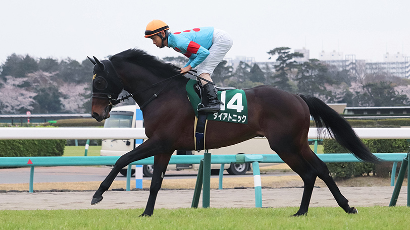 【キーンランドC・新潟2歳S】メイケイエールは「消し」で勝負！？　東大・京大の予想は？【動画あり】