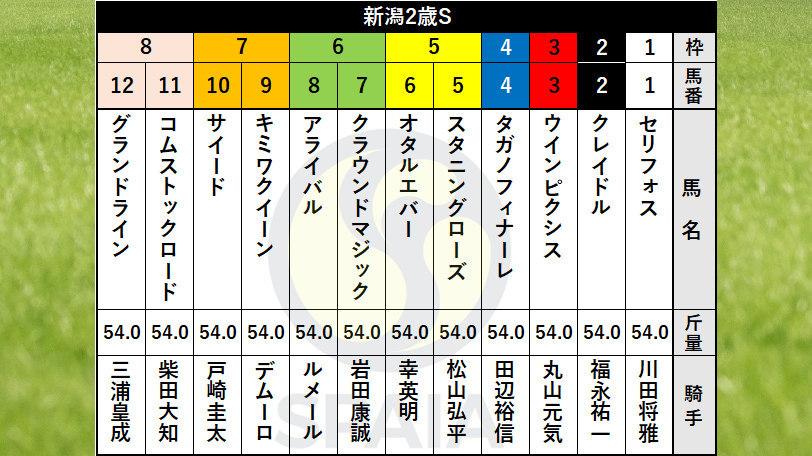 【新潟2歳S枠順】ルメール騎手騎乗アライバルは6枠8番、新馬戦4馬身差Vオタルエバーは5枠6番