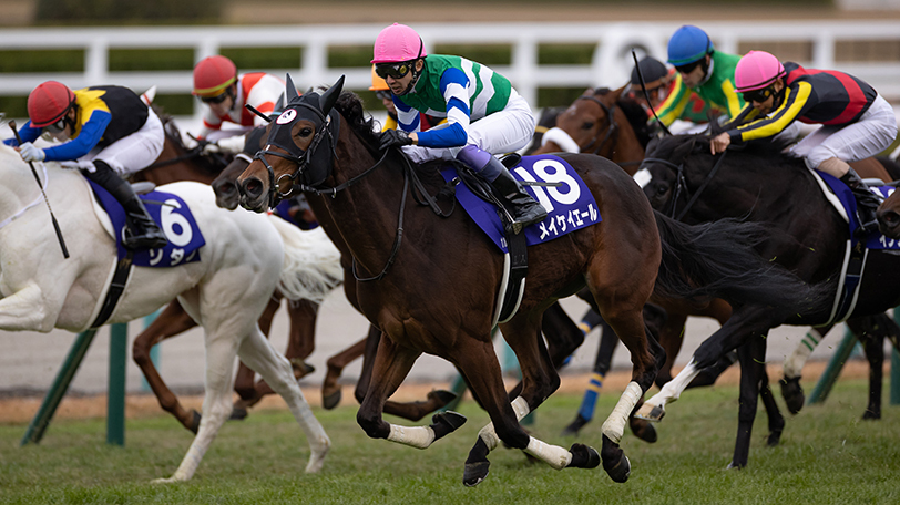 2021年キーンランドCに出走するメイケイエール,ⒸSPAIA