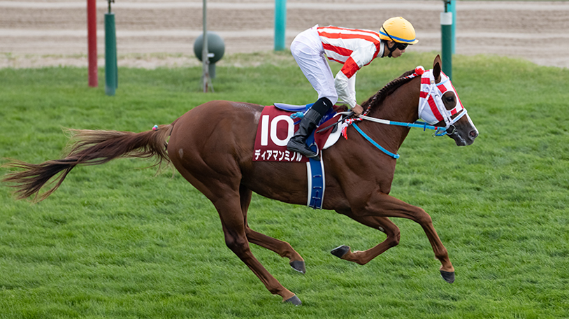 イメージ画像,ⒸSPAIA（撮影：三木俊幸）