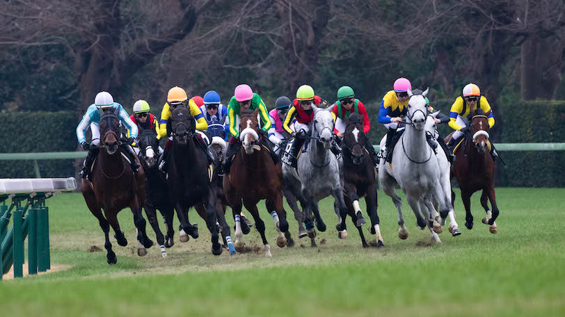 【武蔵野S・福島記念・デイリー杯2歳S】3重賞のデータを一気に予習！　ベテランの意地が光る？【動画あり】