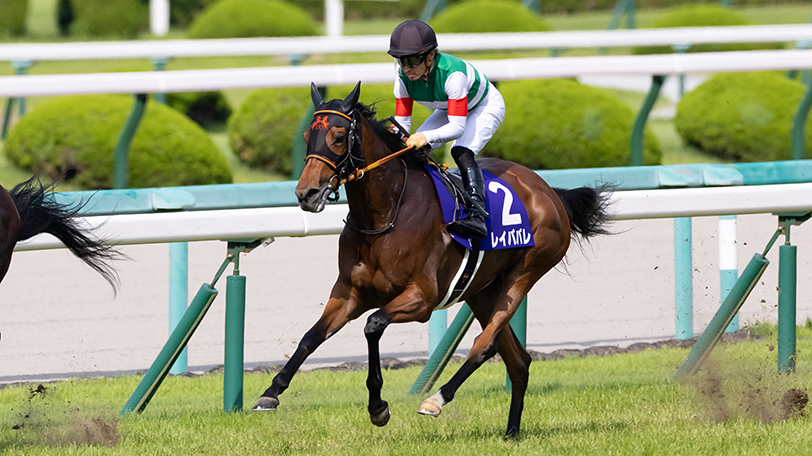 【エリザベス女王杯】レイパパレに鬼門の最内枠！　ますます盤石、アカイトリノムスメ【動画あり】