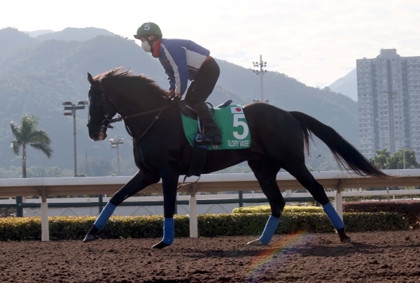 2021年香港ヴァーズに出走するグローリーヴェイズ