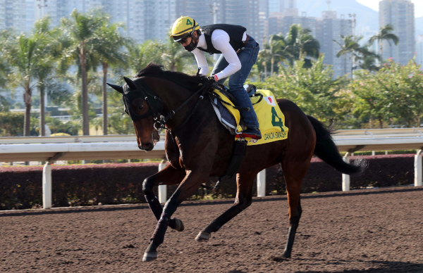 2021年香港スプリントに出走するダノンスマッシュ