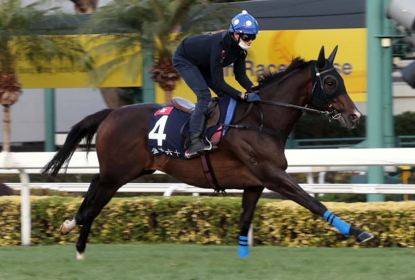 香港国際競走】今年も吹き荒れるか、日本馬旋風 立ちはだかる