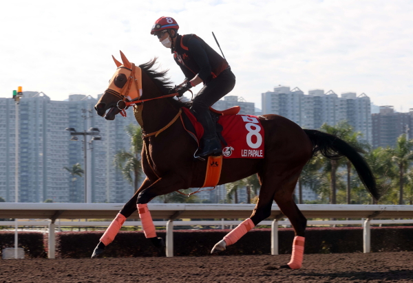 2021年香港カップに出走するレイパパレ