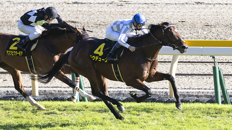 【朝日杯FS】ドウデュース、セリフォスに高評価　東大・京大の予想は？【動画あり】