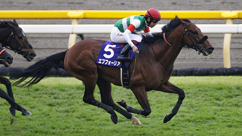 2021年有馬記念に出走するエフフォーリア,ⒸSPAIA