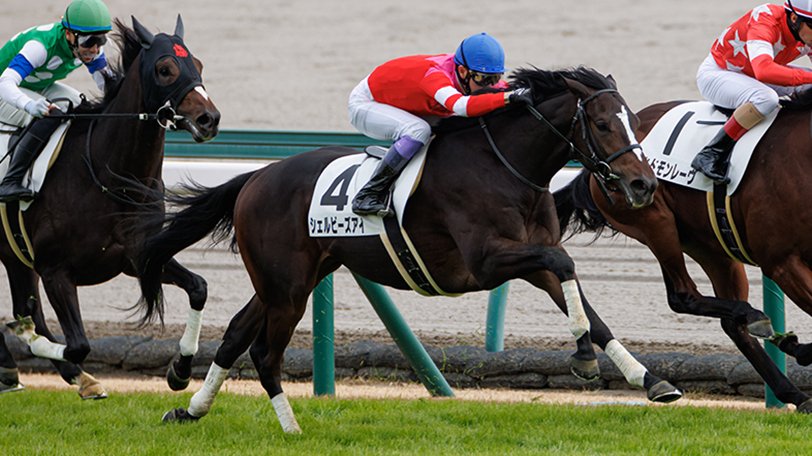 【きさらぎ賞】ダンテスヴューよりマテンロウレオ？　複勝率7割超の「騎手」にまつわるデータとは【動画あり】