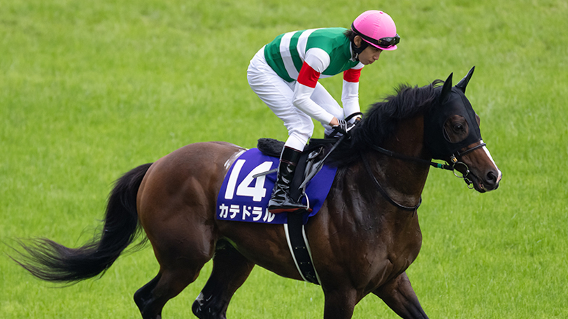 【東京新聞杯・きさらぎ賞】GⅢならカテドラル安定だ　東大・京大の本命は？【動画あり】