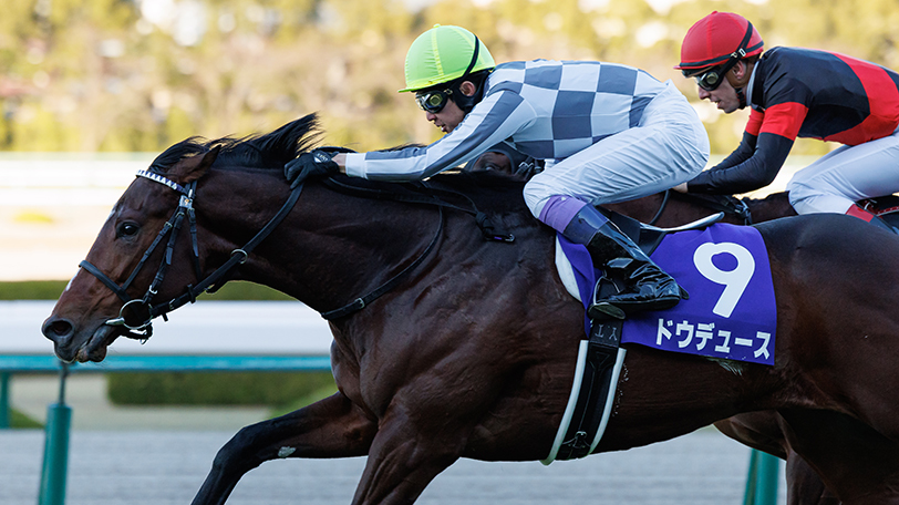 弥生賞】ドウデュースが武豊騎手を背に始動戦！ インダストリアら素質