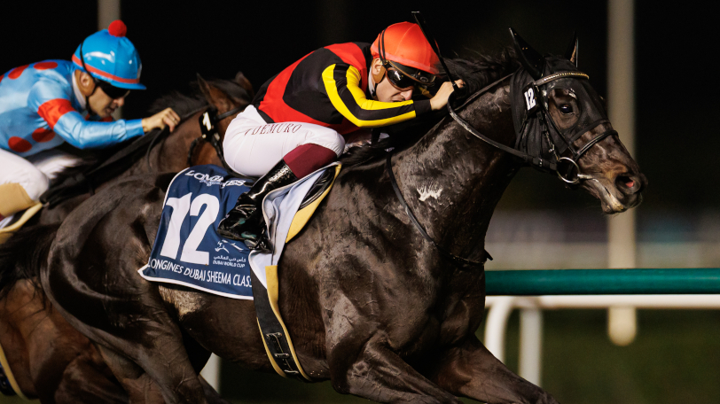 【ドバイWCデー結果】日本馬5勝の固め打ち！　ダービー馬シャフリヤールらが続々快挙