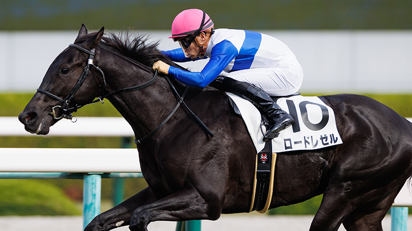 2022年青葉賞に出走するロードレゼル,ⒸSPAIA