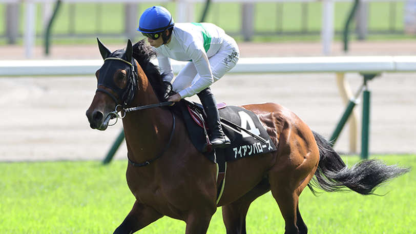 2022年天皇賞（春）に出走するアイアンバローズ,ⒸSPAIA