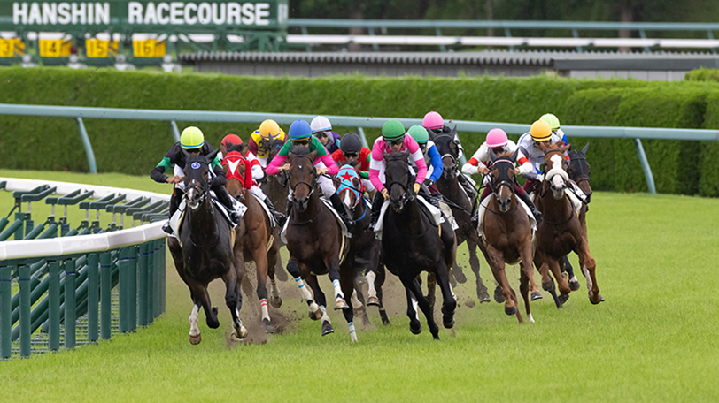 【マーメイドS】ほぼ毎年荒れる！　超難解な牝馬限定ハンデ戦、データで穴馬を徹底サーチ【動画あり】