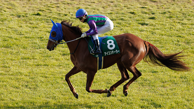 2022年マーメイドSに出走するアイコンテーラー,ⒸSPAIA(撮影:三木俊幸)