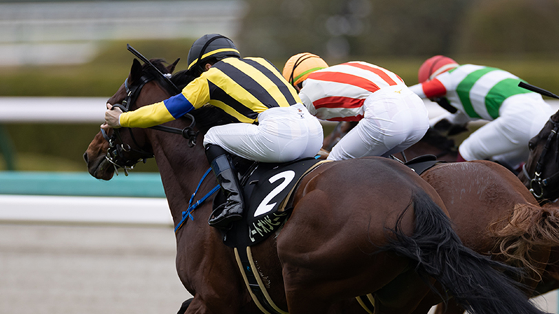 SPAIAチームvsなかやまきんに君の宝塚記念予想対決！　AI予想でミラクルが起きる？【動画・後編】