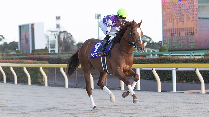 Desporte 　渡邉知晃モデル　27.5 mqdefault.jpg
