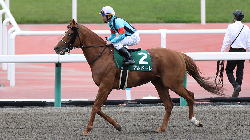 2022年プロキオンSに出走するアルドーレ,ⒸSPAIA(撮影:三木俊幸)