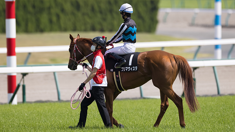 【七夕賞・プロキオンS】53キロ・プリマヴィスタ一発だ！　東大・京大の予想は？【動画あり】