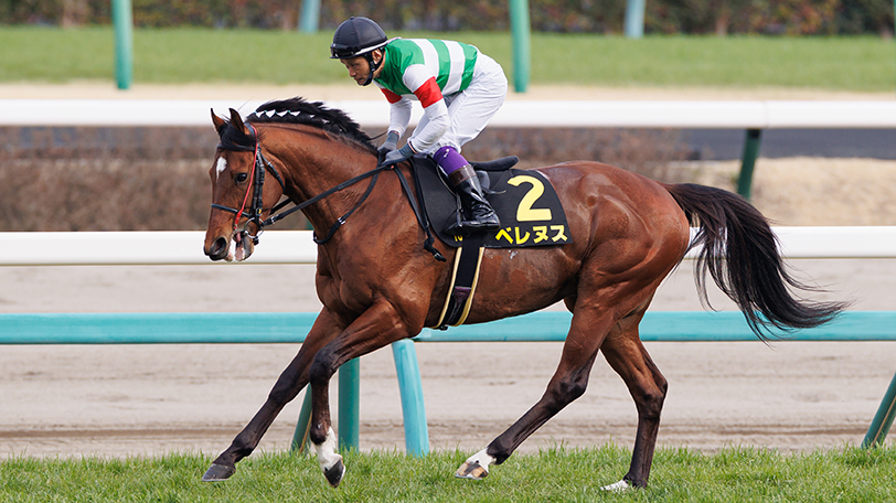 【中京記念】ハンデ絡み難解な一戦　先行馬ベレヌスから勝負【動画あり】