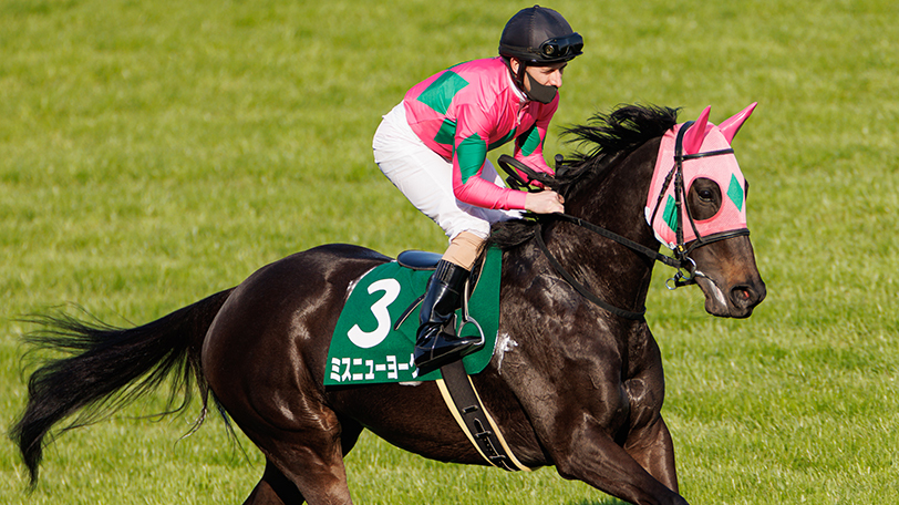 2022年中京記念に出走するミスニューヨーク,ⒸSPAIA