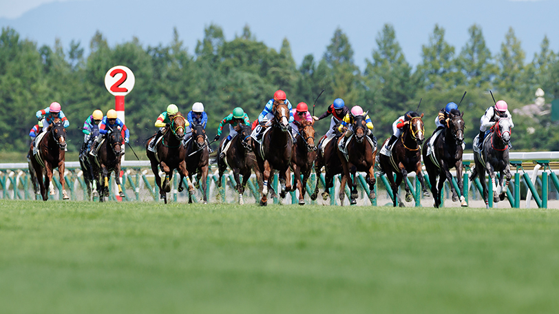 イメージ画像,ⒸSPAIA