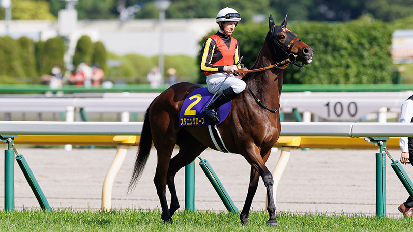 【京成杯AH・紫苑S】最後の一冠目指すスタニングローズ　サークルオブライフとの評価に温度差【動画あり】