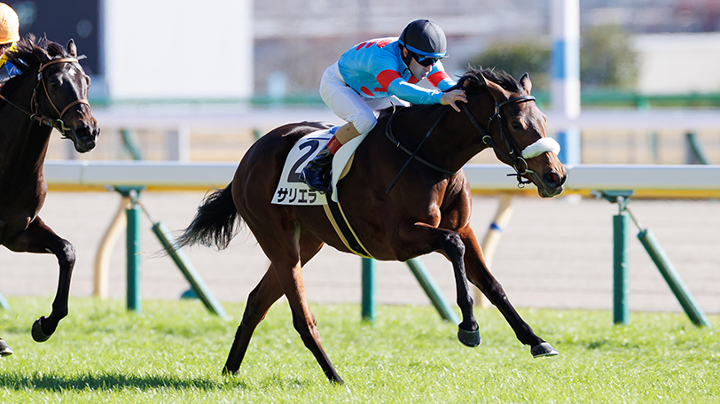 【ローズS・セントライト記念】素質はGⅠ級？　1勝クラス勝ちの新興勢力に大注目【動画あり】