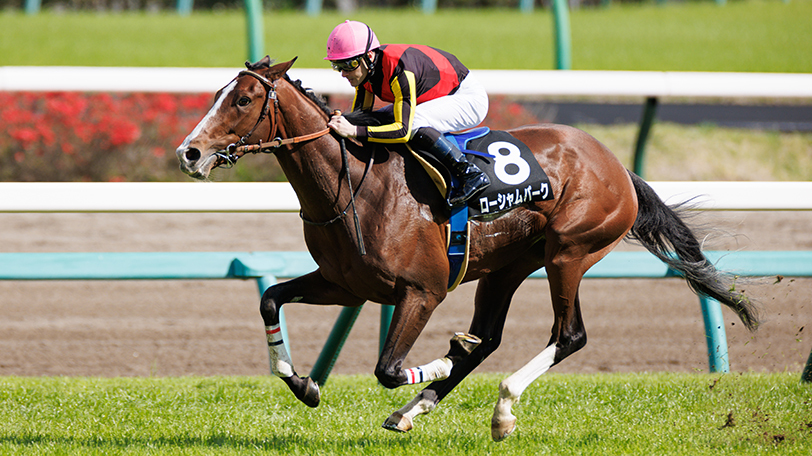 2022年セントライト記念に出走するローシャムパーク,ⒸSPAIA（撮影：三木俊幸）