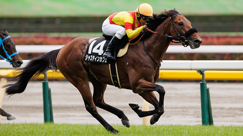 【毎日王冠・京都大賞典】ジャスティンカフェの豪脚届くか　東大・京大の見解は【動画あり】