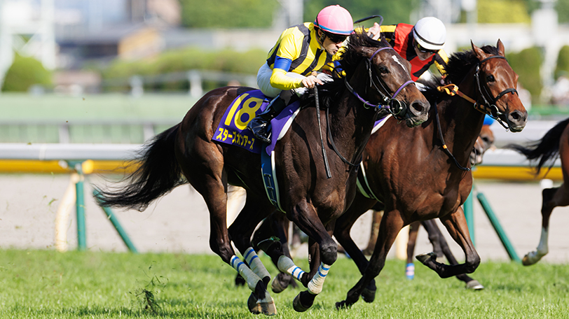 2022年秋華賞に出走するスターズオンアース,ⒸSPAIA(撮影:三木俊幸)