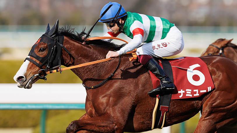 【秋華賞】ナミュール、直行ローテで三冠阻止だ！　東大・京大の予想は【動画あり】