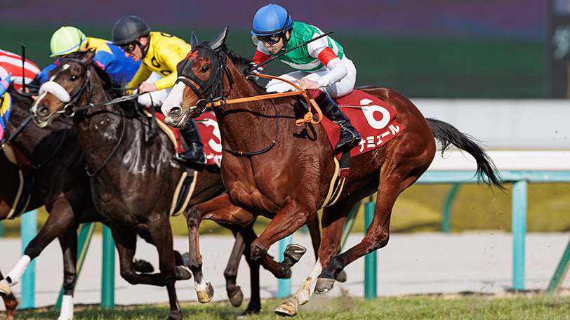 【秋華賞】大幅馬体増で条件そろった　ナミュール、ラスト一冠は譲れない！【動画あり】