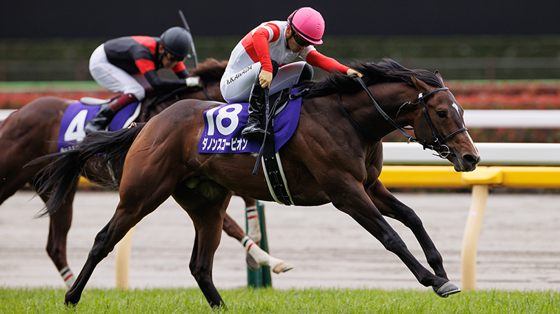 【富士S】ダノンスコーピオンと鍵を握る「斤量56キロ」問題　マイルCS前哨戦をデータで展望【動画あり】