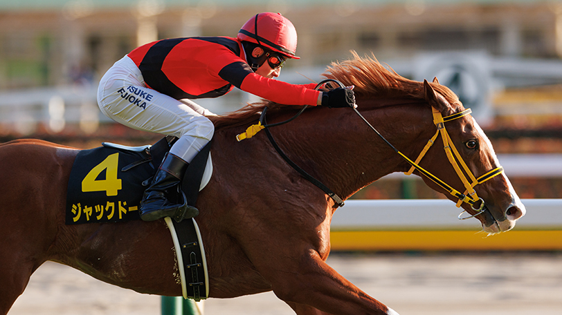 【天皇賞（秋）】5連勝と同じ左回りの芝2000m　ジャックドールが強敵撃破だ！【動画あり】