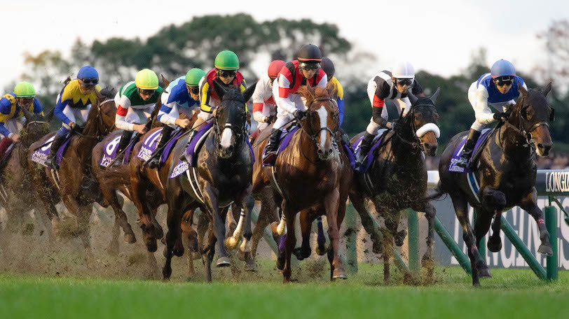 【天皇賞（秋）】シャフリヤールGⅠ・3勝目へ死角なし！　強力3歳勢に威厳見せる【動画あり】