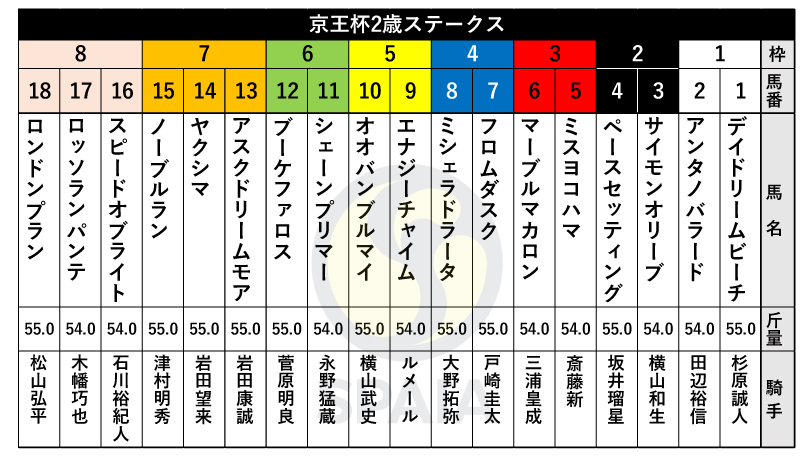 【京王杯2歳S枠順】小倉2歳S勝ち馬ロンドンプランは8枠18番、ききょうS3着ヤクシマは7枠14番